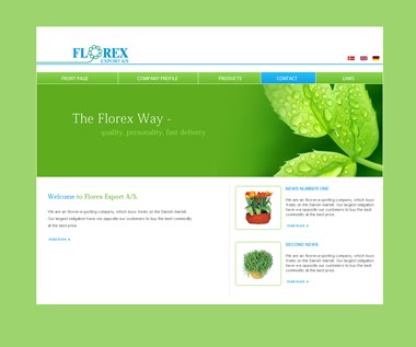site_florex_background.jpg